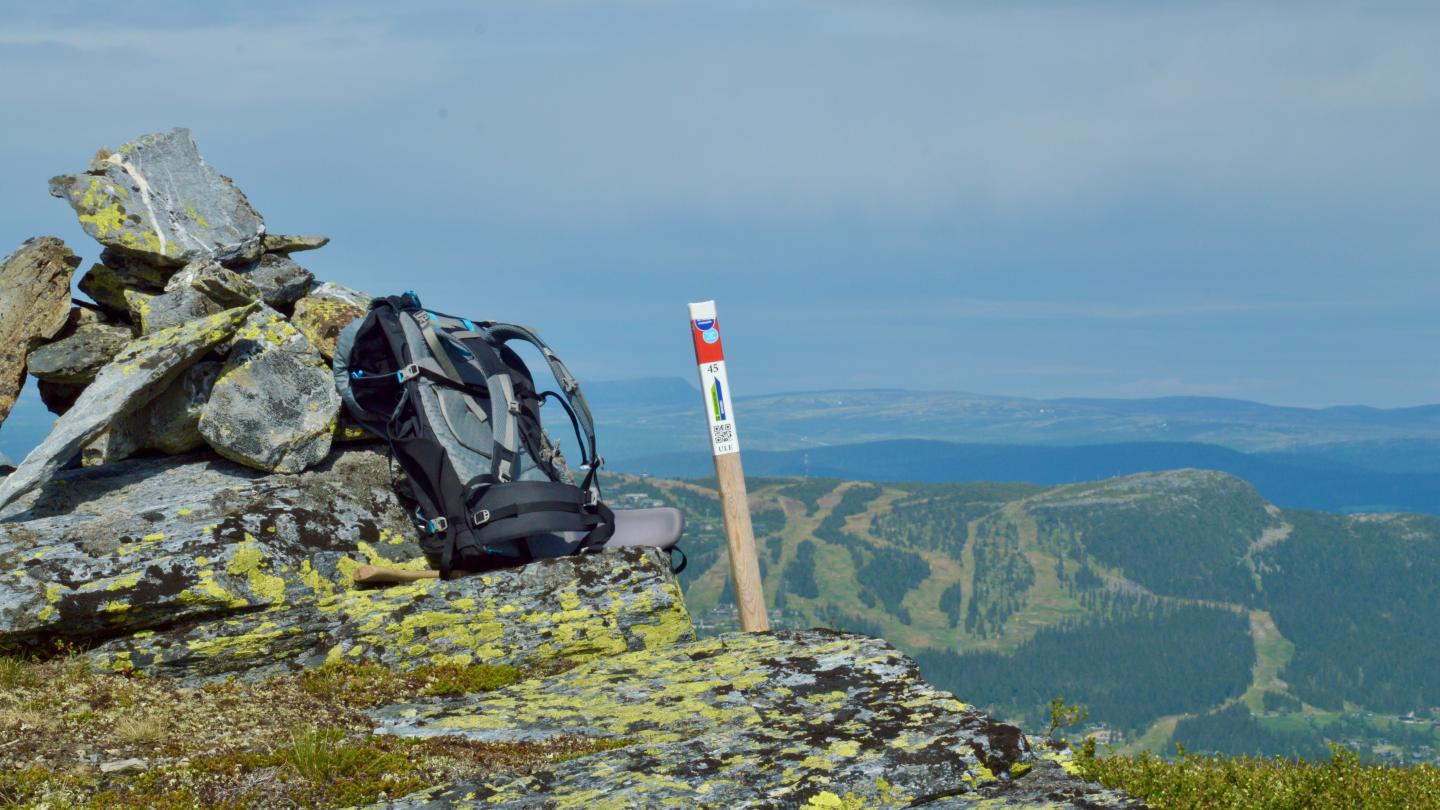 Sommer og turforslag i Kvitfjell Alpinanlegg.